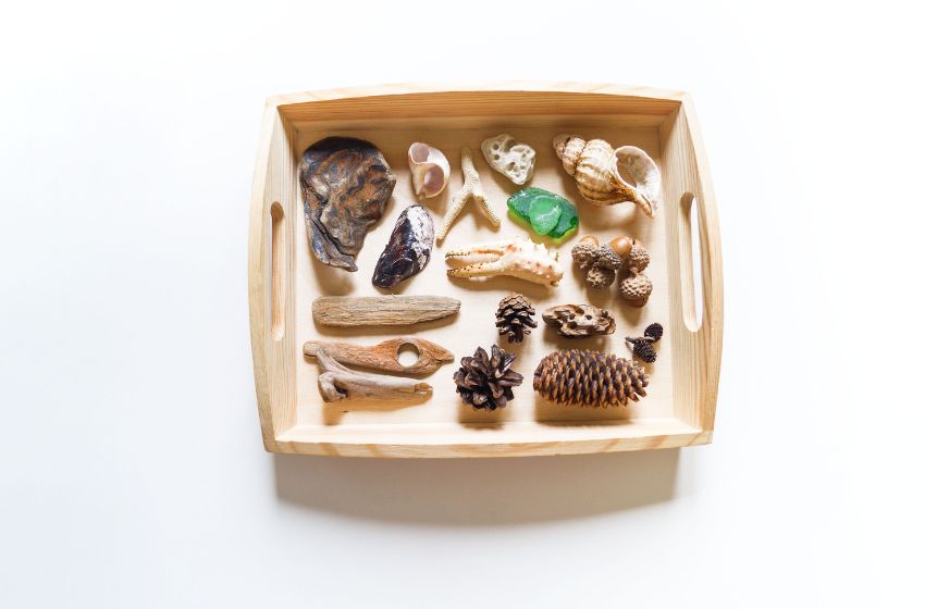 Nature Discovery Tray