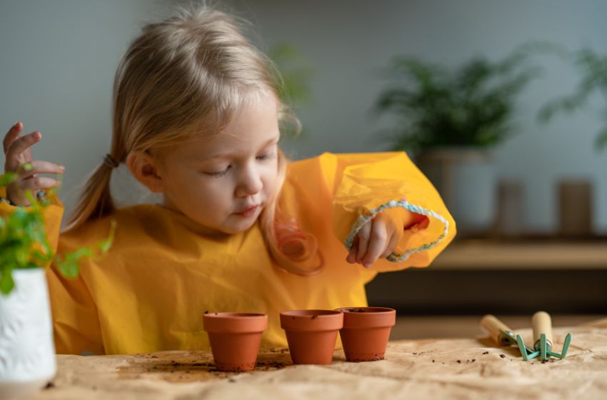 Gardening and Plant Care