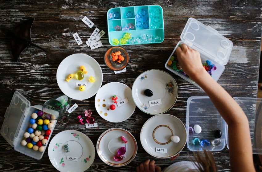 Sorting and Classifying Fun